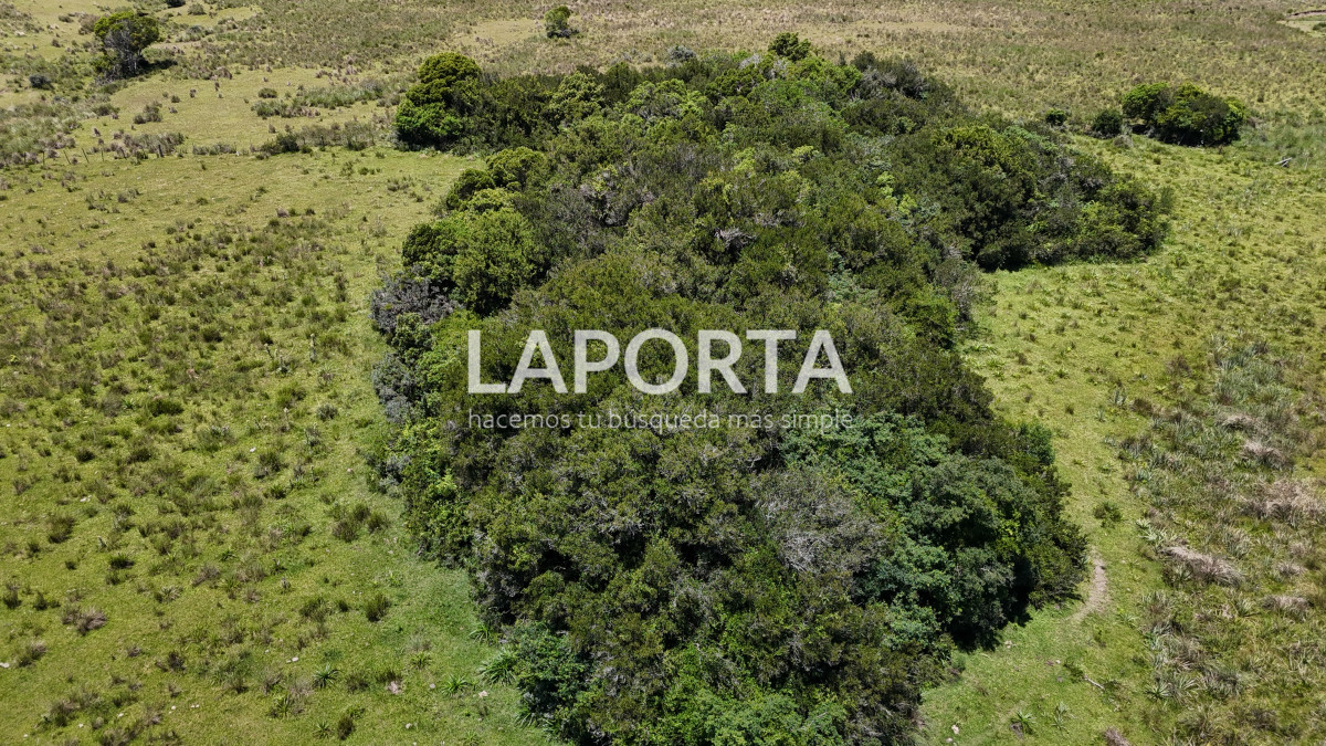 Campo Ref.543/Campo-en-Venta-en-Garzón-Maldonado-Punta-del-Este - Campo en Venta en Garzón Maldonado Punta del Este