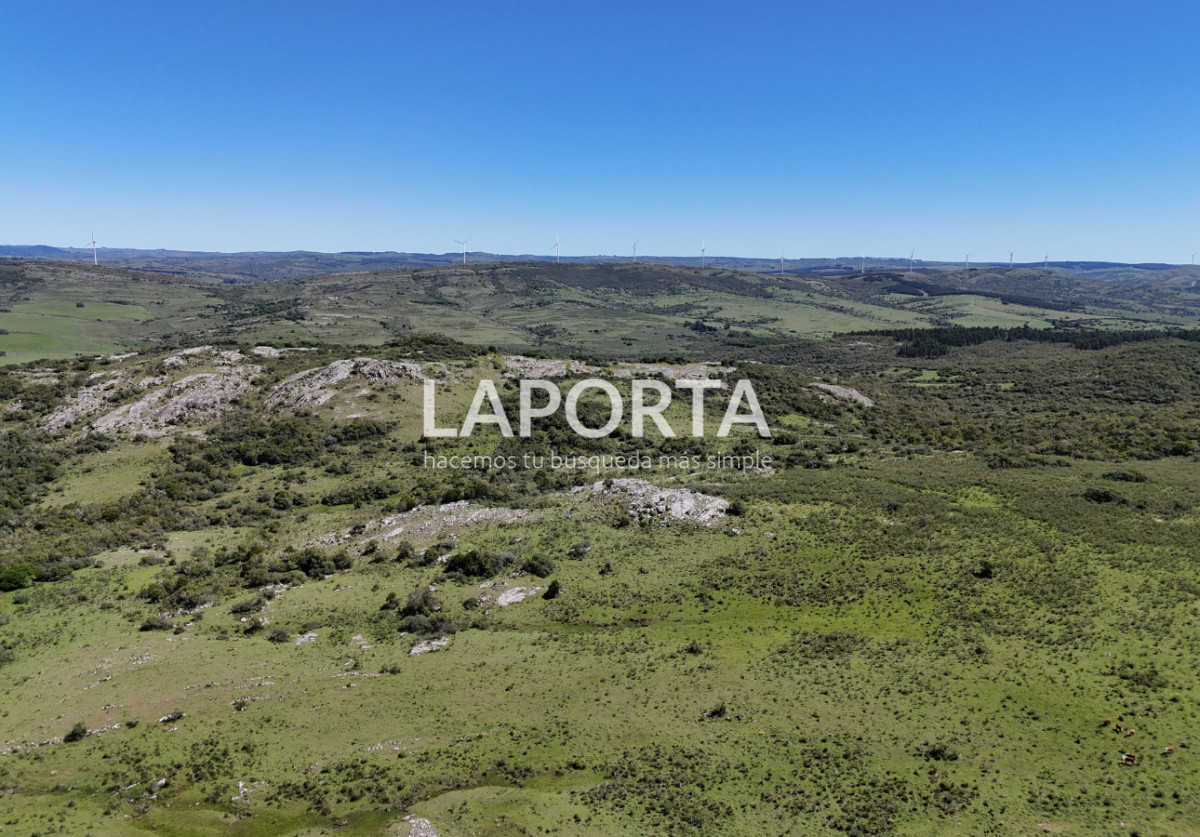 Campo Ref.1320/Campo-en-venta-en-Sierra-de-los-Caracoles,-Maldonado. - Campo en venta en Sierra de los Caracoles, Maldonado.