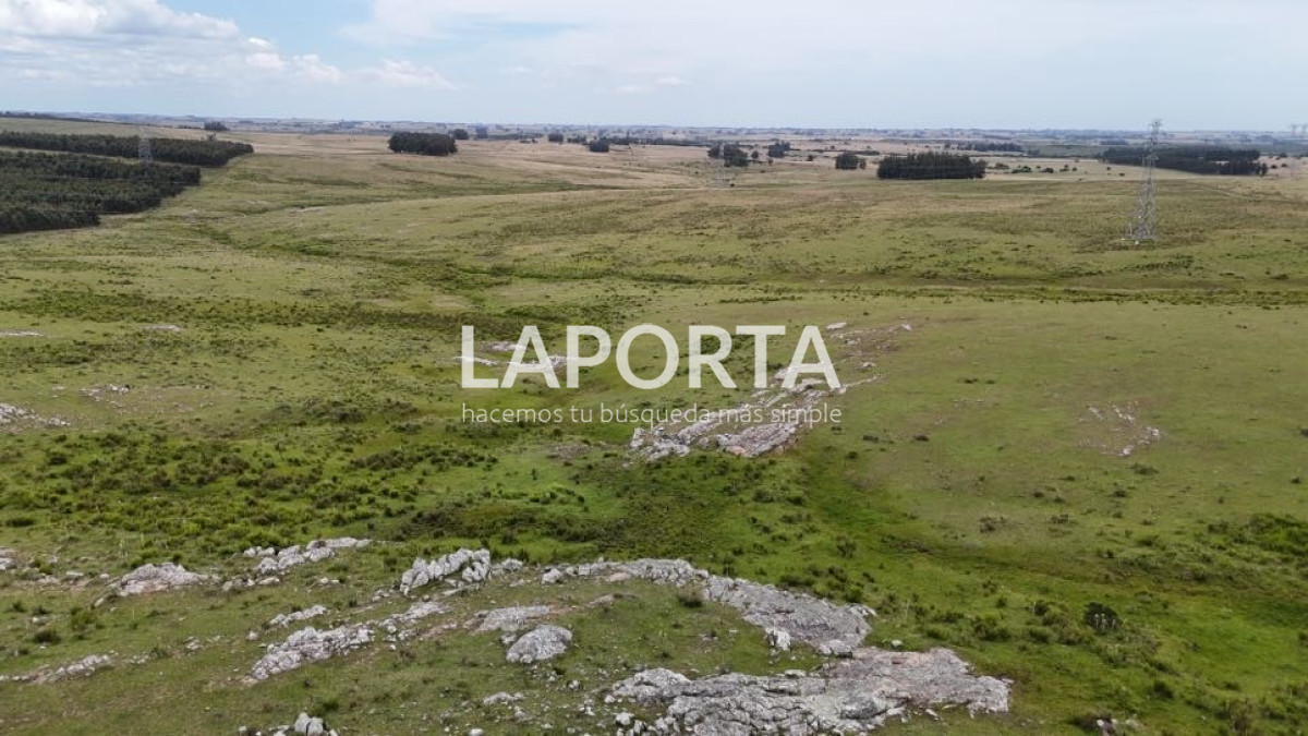 Campo Ref.568/Campo-Turístico-y-Ganadero-en-venta-en-Maldonado,-Punta-del-Este - Campo Turístico y Ganadero en venta en Maldonado, Punta del Este
