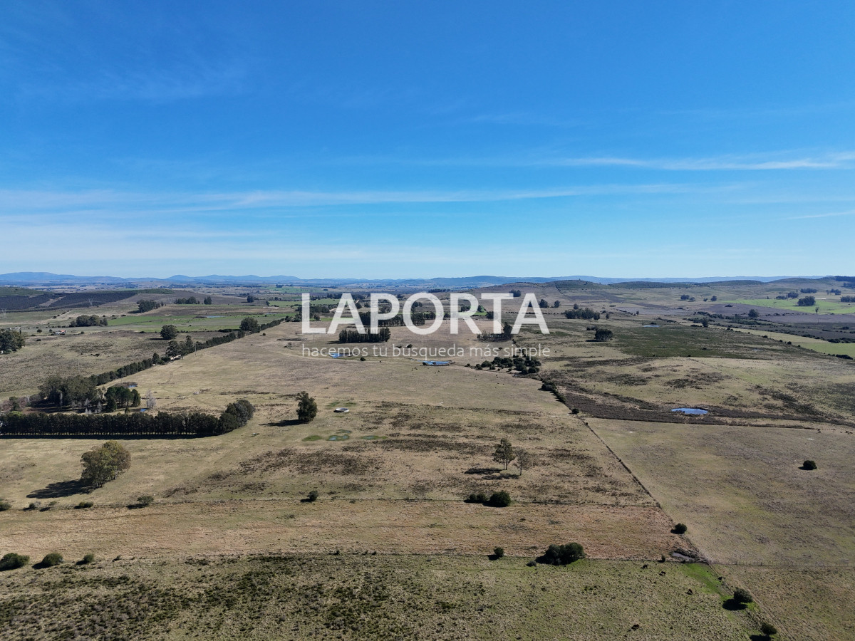 Campo Ref.1107/Campo-agrícola-ganadero-en-venta-en-Maldonado - Campo agrícola ganadero en venta en Maldonado
