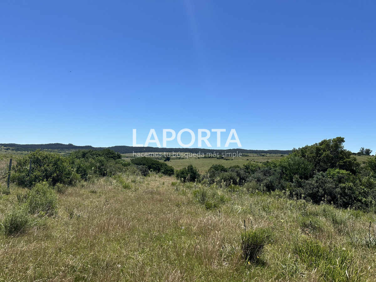 Campo Ref.543/Campo-en-Venta-en-Garzón-Maldonado-Punta-del-Este - Campo en Venta en Garzón Maldonado Punta del Este