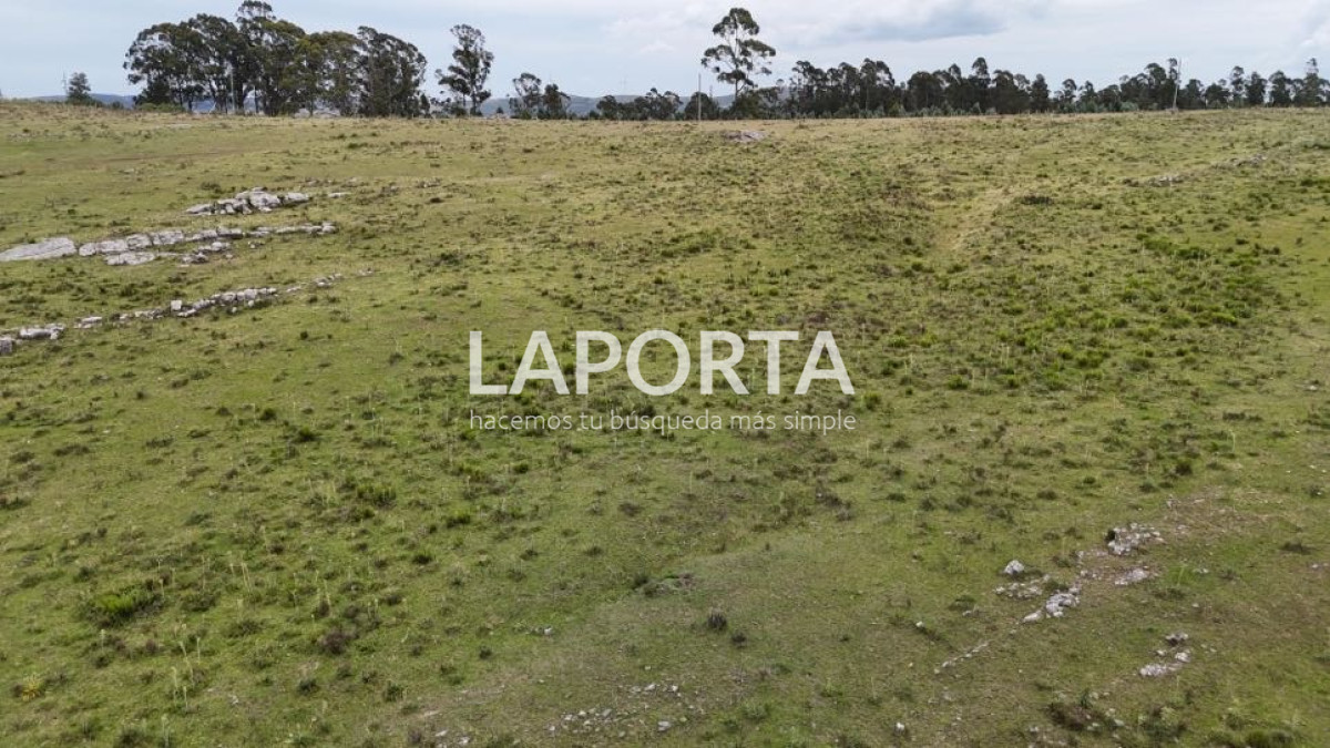 Campo Ref.568/Campo-Turístico-y-Ganadero-en-venta-en-Maldonado,-Punta-del-Este - Campo Turístico y Ganadero en venta en Maldonado, Punta del Este