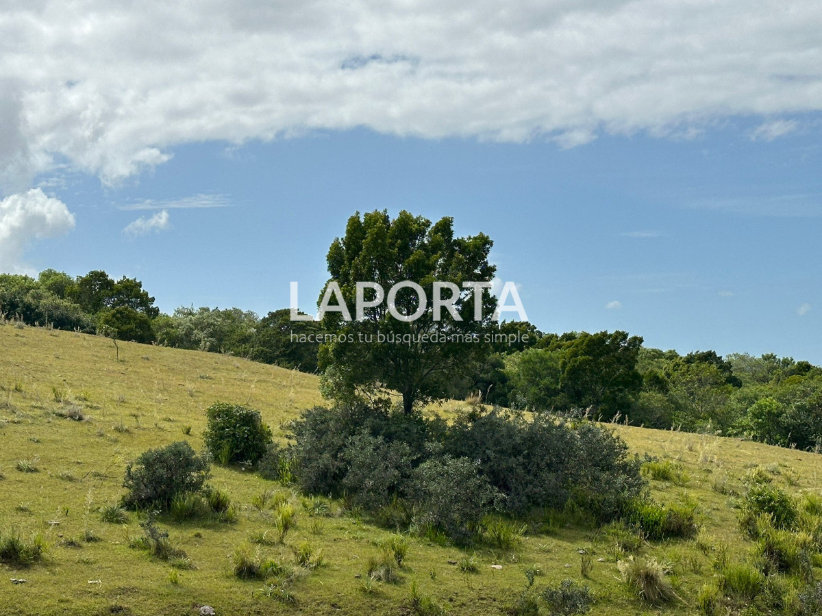 Campo Ref.647/Campo-ganadero-en-Rocha:-¡Inversión-exclusiva-cerca-de-Pueblo-Garzón! - Campo ganadero en Rocha: ¡Inversión exclusiva cerca de Pueblo Garzón!