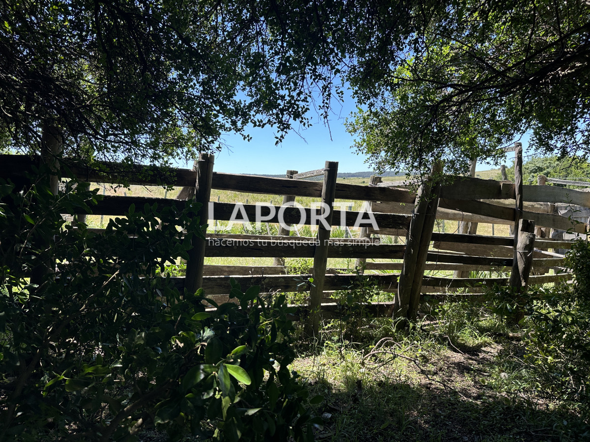 Campo Ref.543/Campo-en-Venta-en-Garzón-Maldonado-Punta-del-Este - Campo en Venta en Garzón Maldonado Punta del Este
