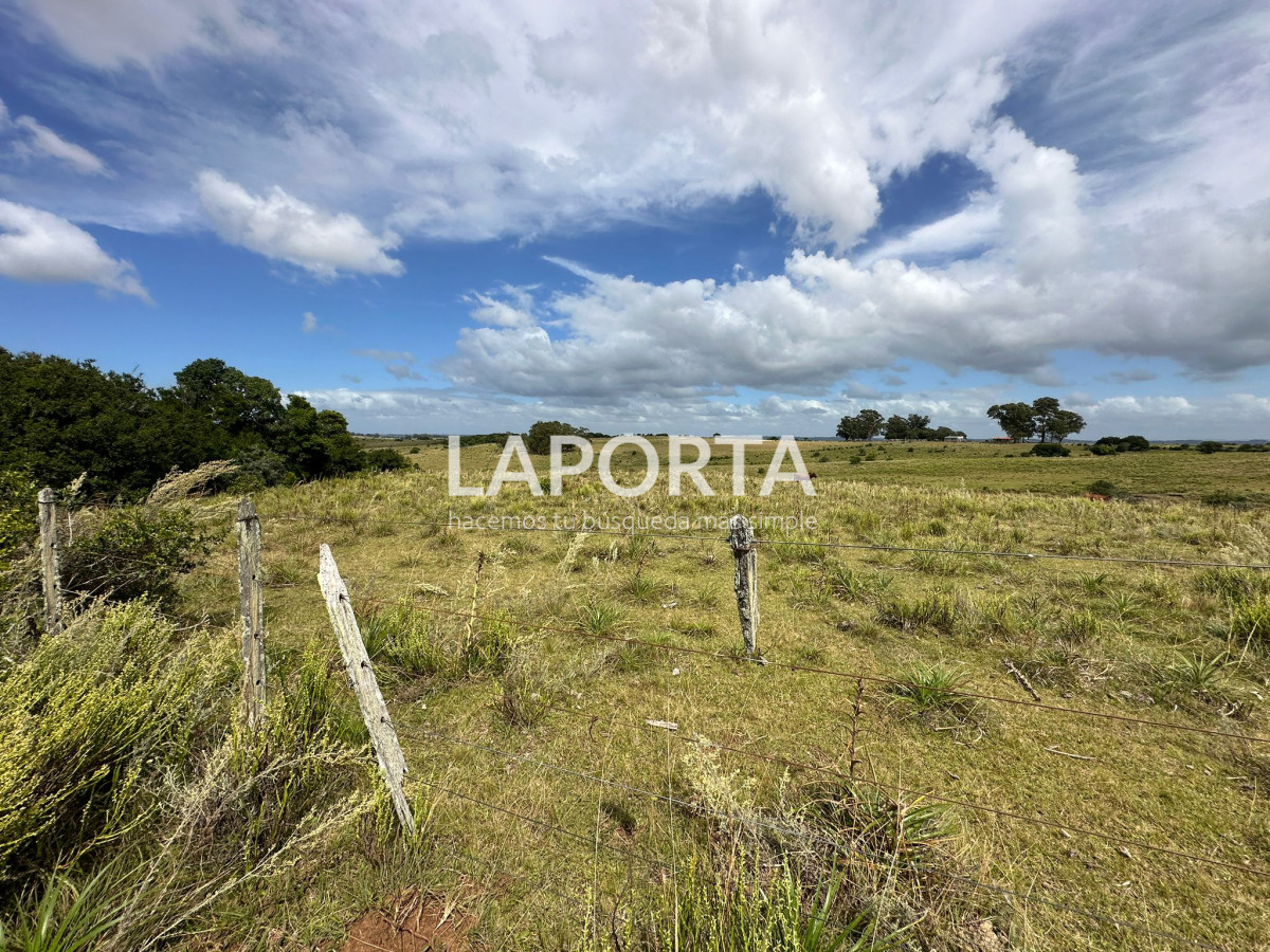 Campo Ref.647/Campo-ganadero-en-Rocha:-¡Inversión-exclusiva-cerca-de-Pueblo-Garzón! - Campo ganadero en Rocha: ¡Inversión exclusiva cerca de Pueblo Garzón!