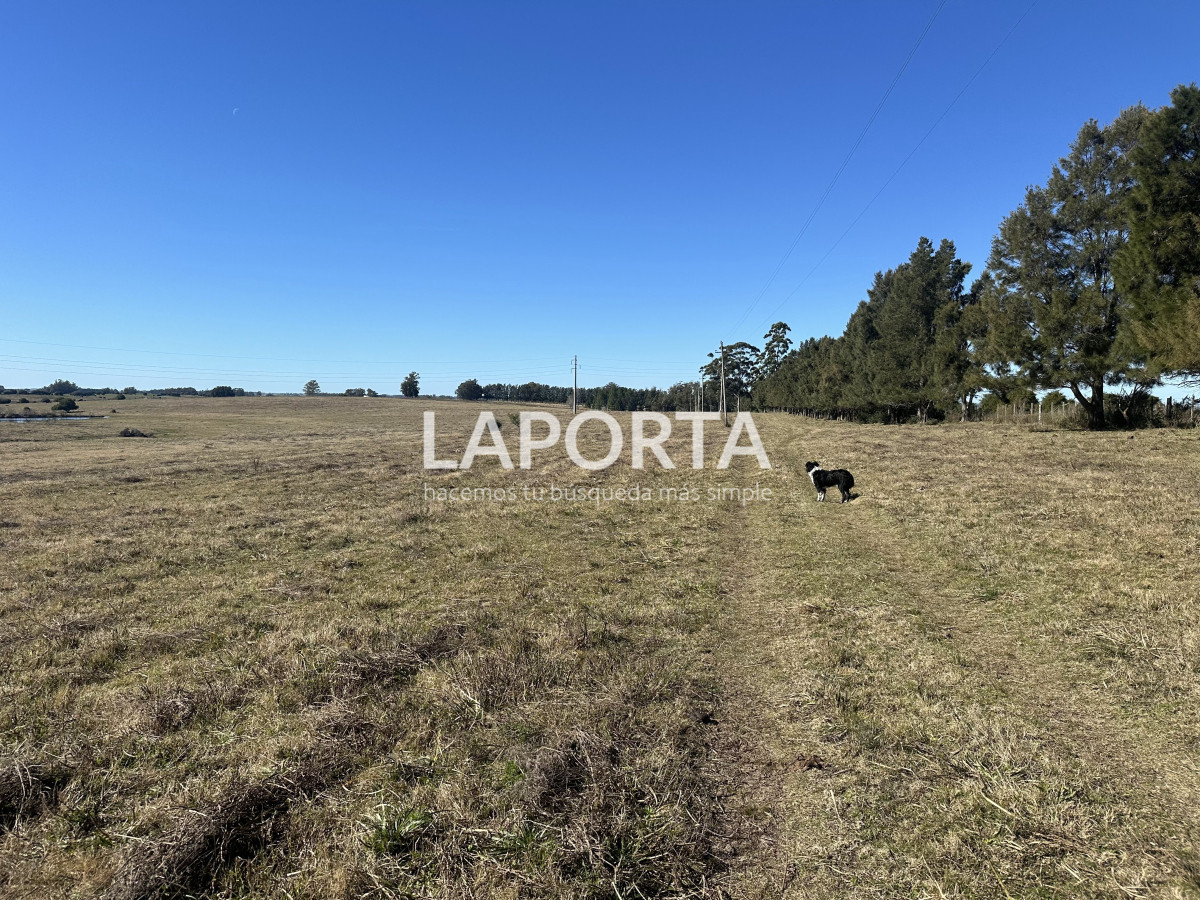 Campo Ref.1107/Campo-agrícola-ganadero-en-venta-en-Maldonado - Campo agrícola ganadero en venta en Maldonado