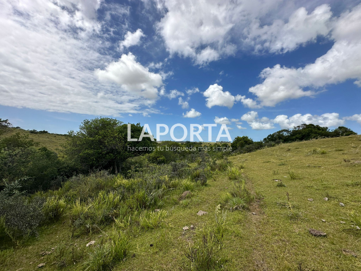 Campo Ref.647/Campo-ganadero-en-Rocha:-¡Inversión-exclusiva-cerca-de-Pueblo-Garzón! - Campo ganadero en Rocha: ¡Inversión exclusiva cerca de Pueblo Garzón!