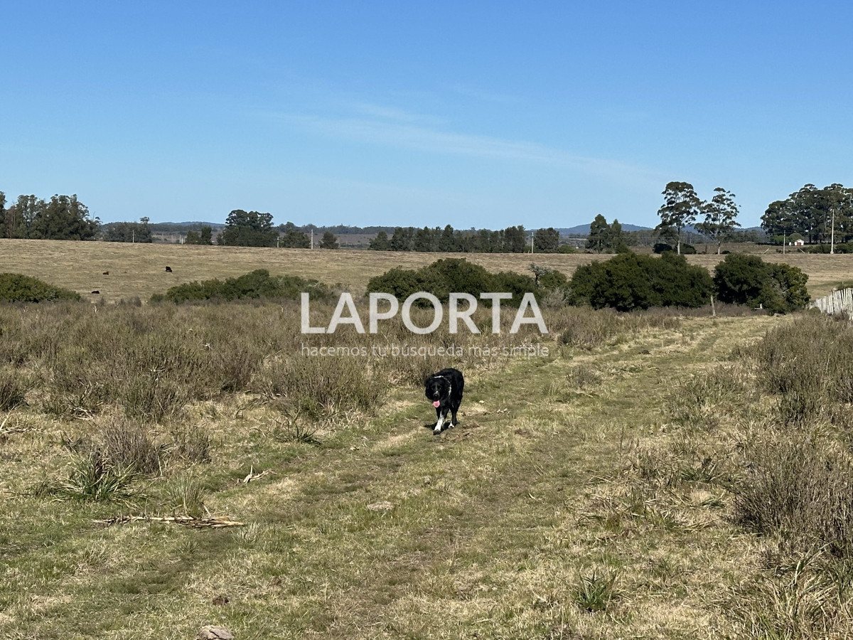 Campo Ref.1107/Campo-agrícola-ganadero-en-venta-en-Maldonado - Campo agrícola ganadero en venta en Maldonado