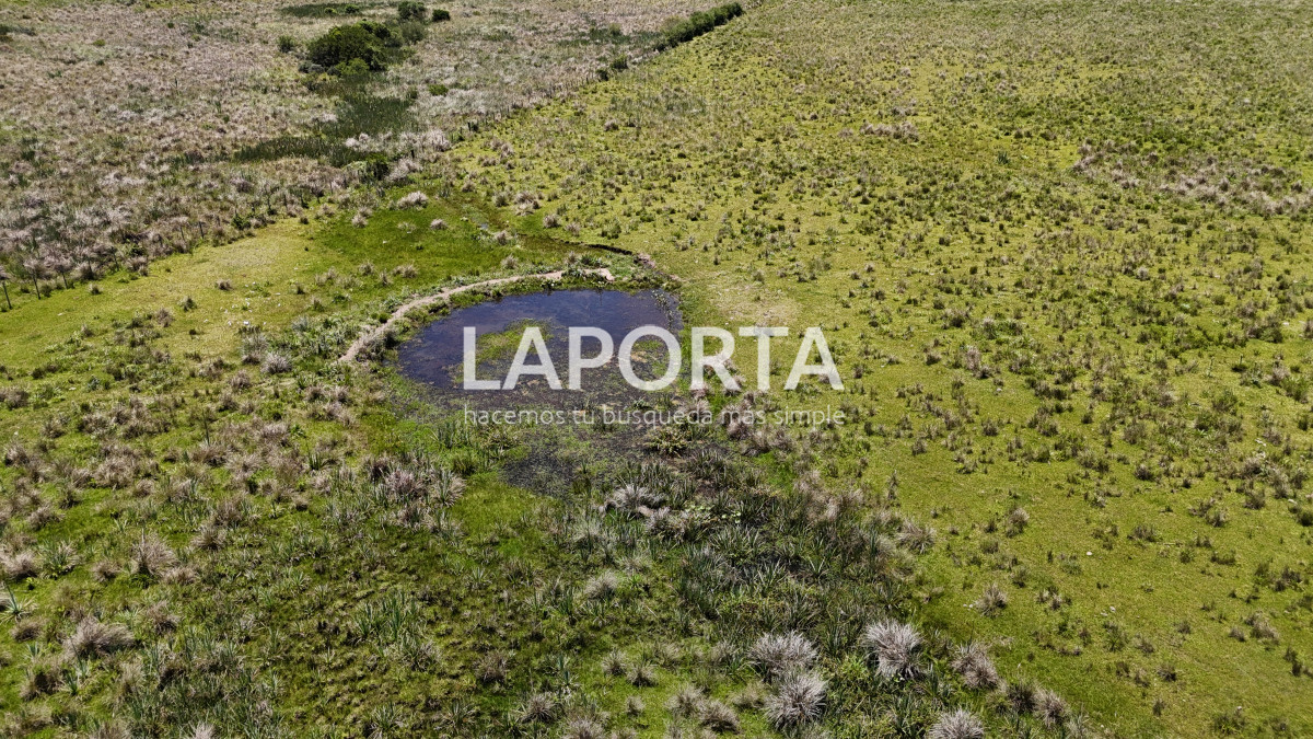 Campo Ref.543/Campo-en-Venta-en-Garzón-Maldonado-Punta-del-Este - Campo en Venta en Garzón Maldonado Punta del Este
