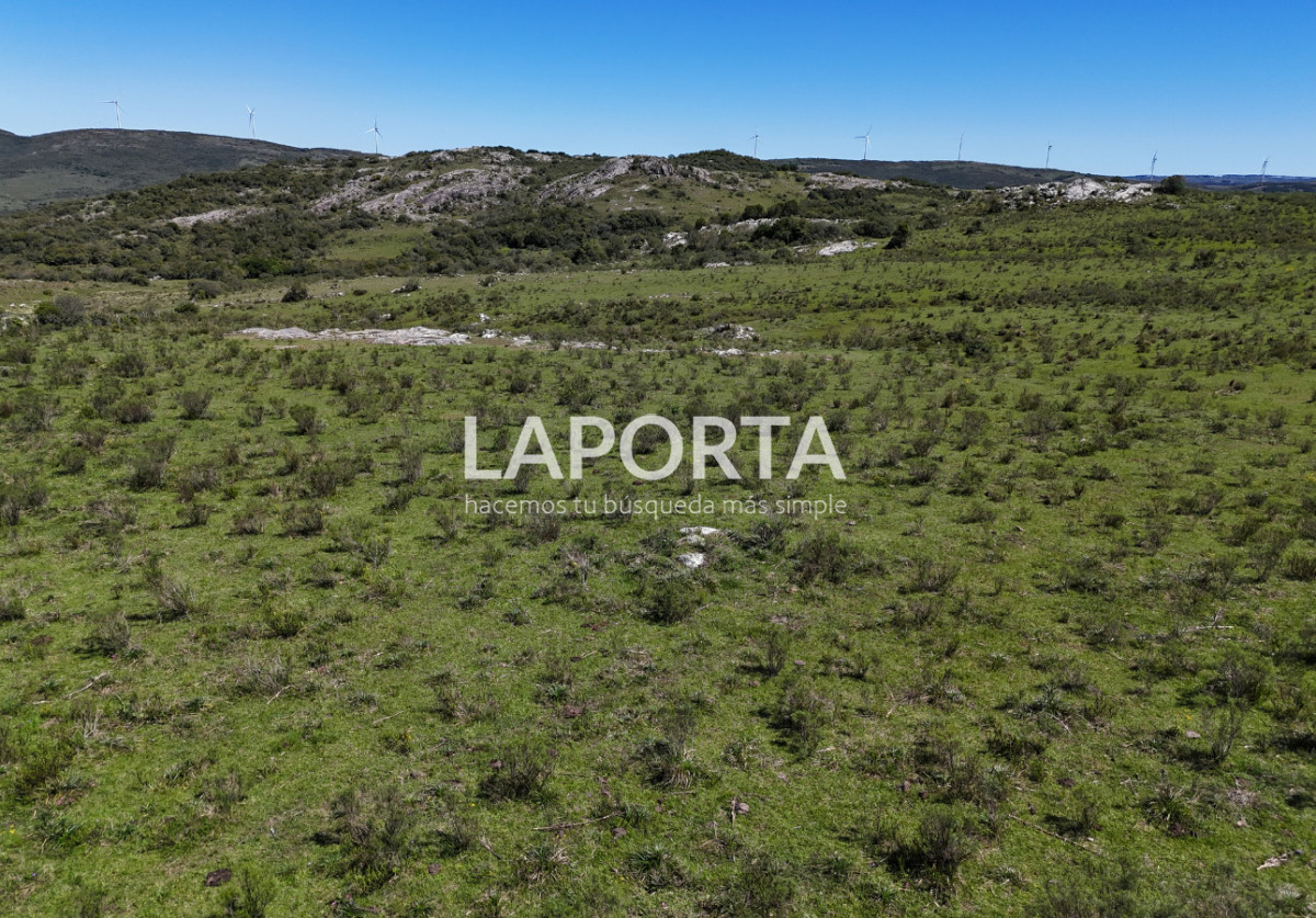 Campo Ref.1320/Campo-en-venta-en-Sierra-de-los-Caracoles,-Maldonado. - Campo en venta en Sierra de los Caracoles, Maldonado.