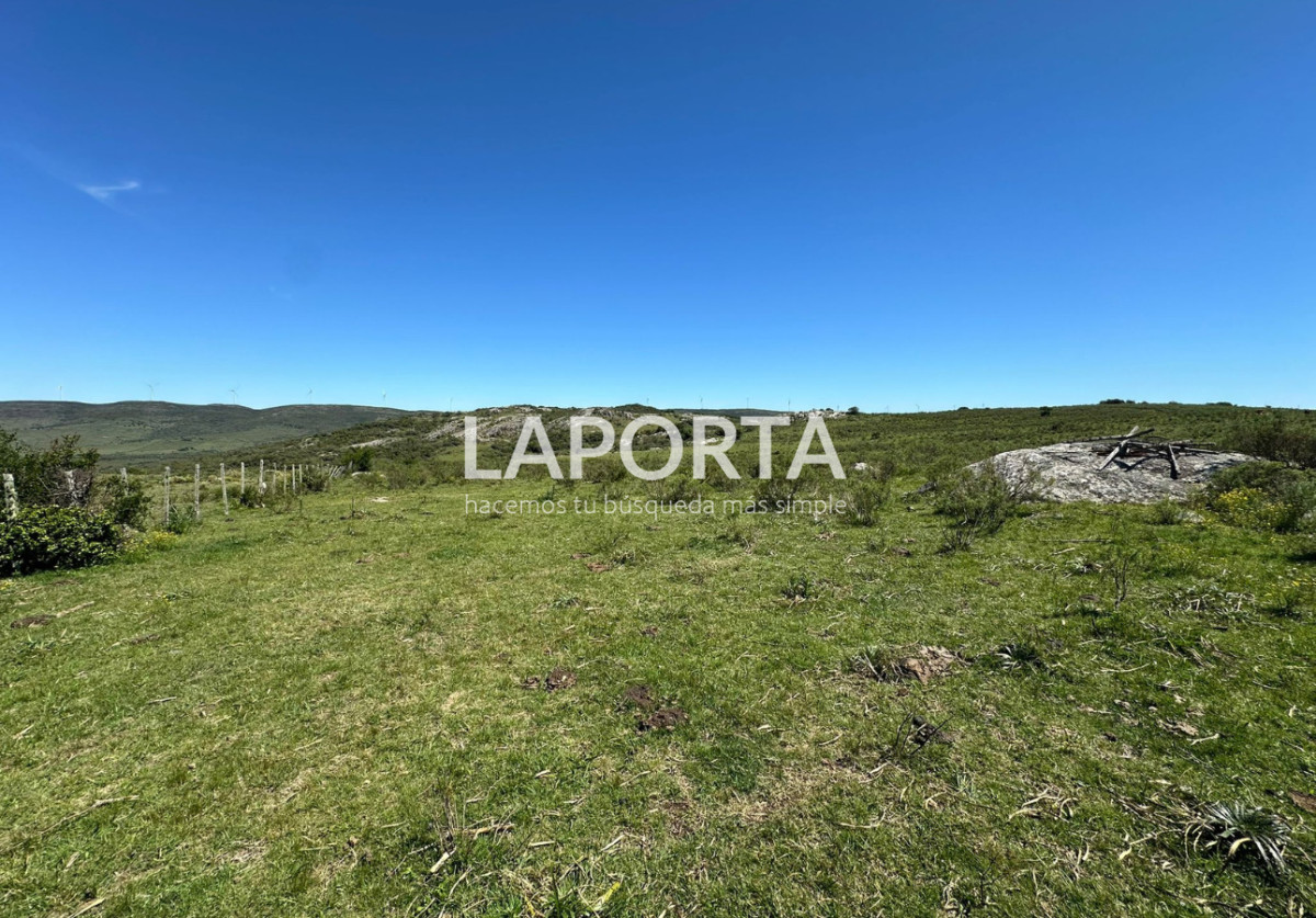 Campo Ref.1320/Campo-en-venta-en-Sierra-de-los-Caracoles,-Maldonado. - Campo en venta en Sierra de los Caracoles, Maldonado.