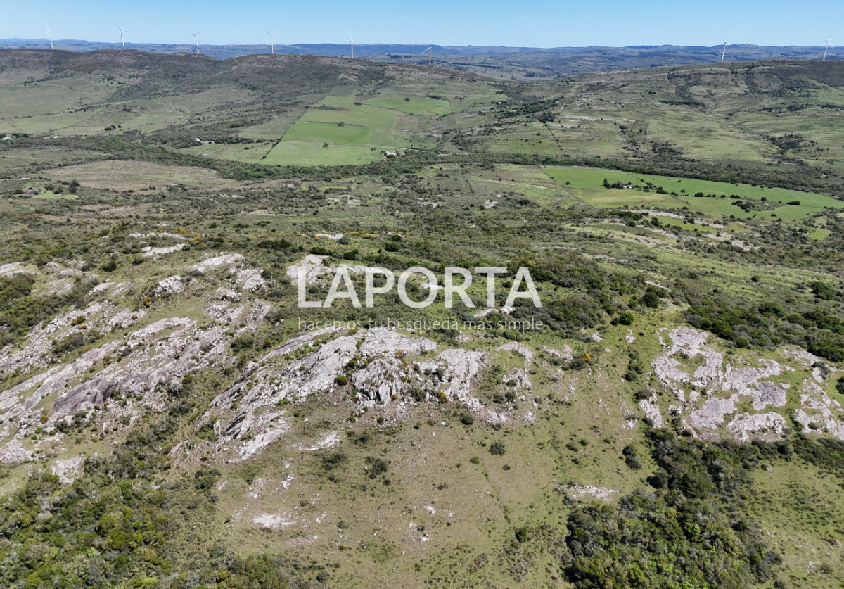 Campo Ref.1320/Campo-en-venta-en-Sierra-de-los-Caracoles,-Maldonado. - Campo en venta en Sierra de los Caracoles, Maldonado.
