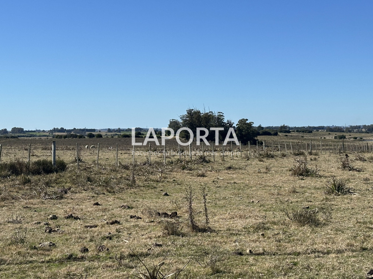 Campo Ref.1107/Campo-agrícola-ganadero-en-venta-en-Maldonado - Campo agrícola ganadero en venta en Maldonado