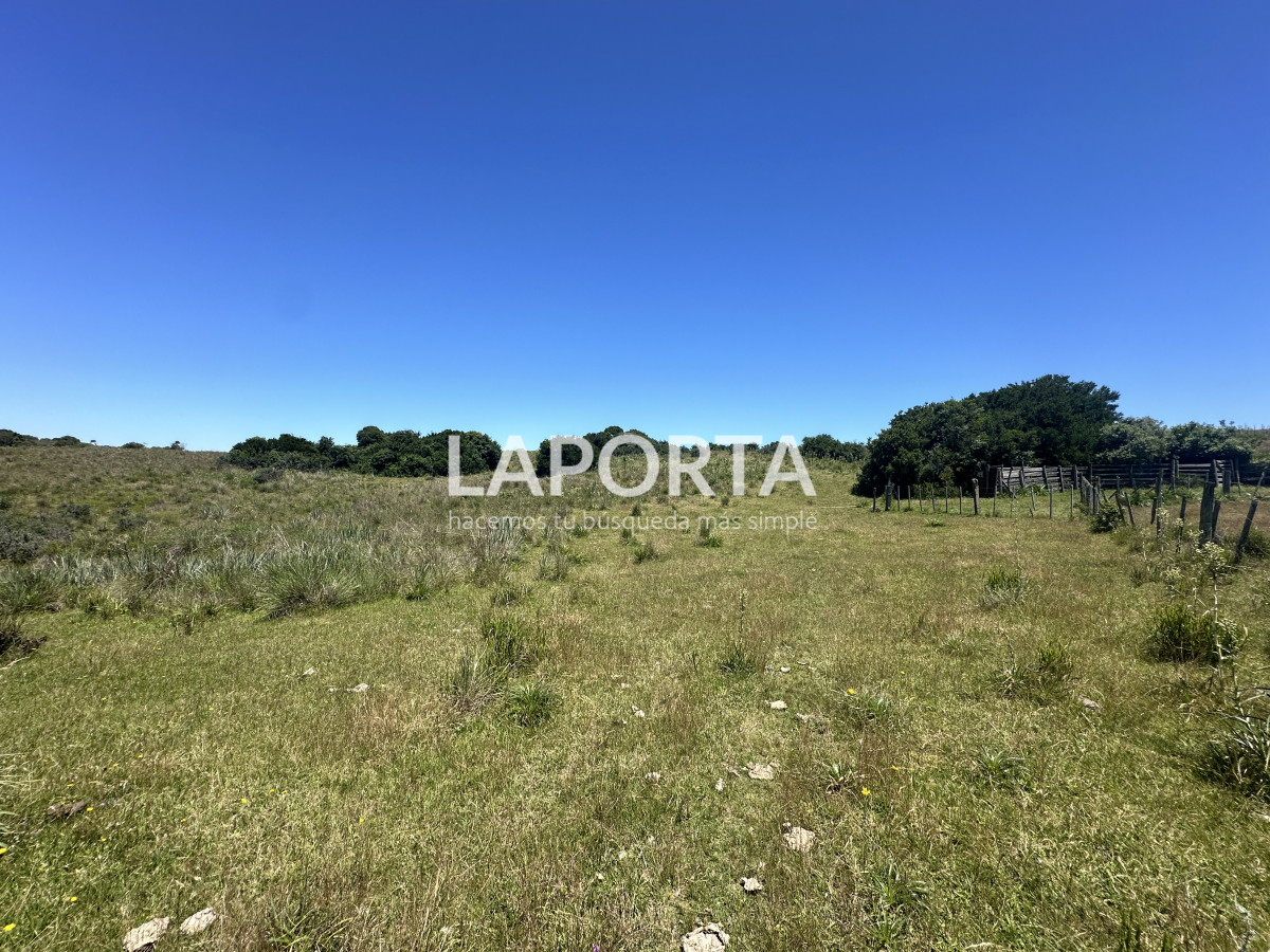 Campo Ref.543/Campo-en-Venta-en-Garzón-Maldonado-Punta-del-Este - Campo en Venta en Garzón Maldonado Punta del Este