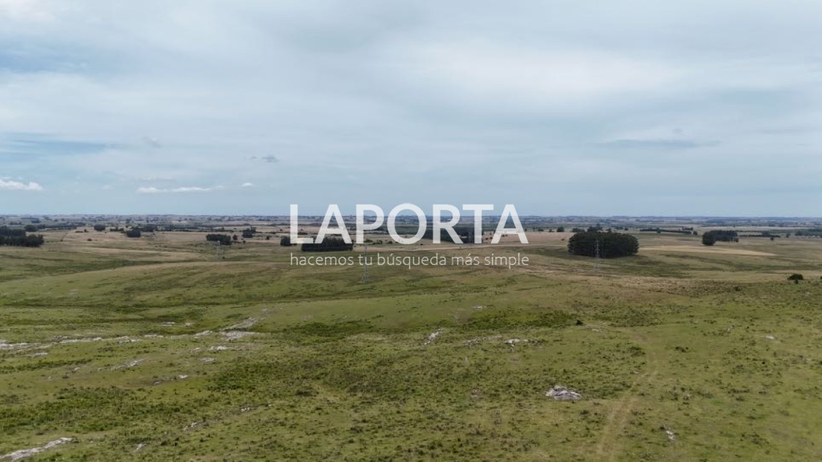 Campo Ref.568/Campo-Turístico-y-Ganadero-en-venta-en-Maldonado,-Punta-del-Este - Campo Turístico y Ganadero en venta en Maldonado, Punta del Este