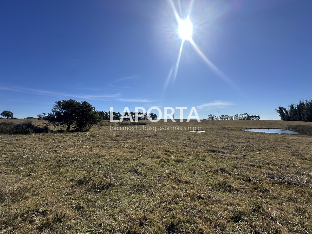 Campo Ref.1107/Campo-agrícola-ganadero-en-venta-en-Maldonado - Campo agrícola ganadero en venta en Maldonado
