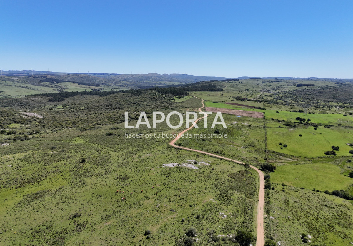 Campo Ref.1320/Campo-en-venta-en-Sierra-de-los-Caracoles,-Maldonado. - Campo en venta en Sierra de los Caracoles, Maldonado.