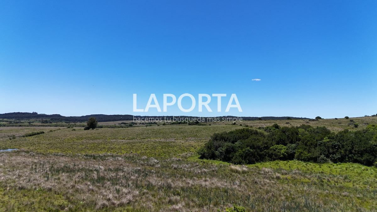 Campo Ref.543/Campo-en-Venta-en-Garzón-Maldonado-Punta-del-Este - Campo en Venta en Garzón Maldonado Punta del Este