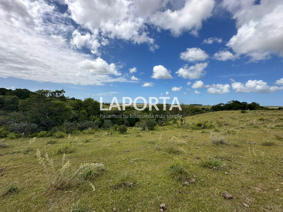 Campo Ref.647/Campo-ganadero-en-Rocha:-¡Inversión-exclusiva-cerca-de-Pueblo-Garzón! - Campo ganadero en Rocha: ¡Inversión exclusiva cerca de Pueblo Garzón!