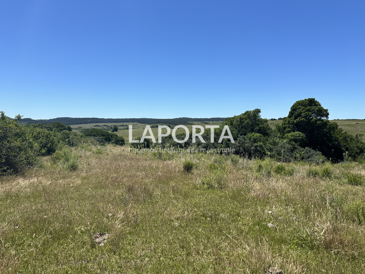 Campo Ref.543/Campo-en-Venta-en-Garzón-Maldonado-Punta-del-Este - Campo en Venta en Garzón Maldonado Punta del Este