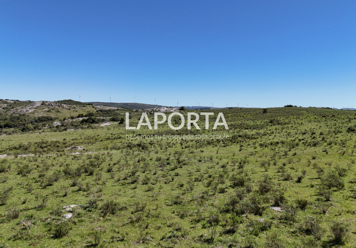 Campo Ref.1320/Campo-en-venta-en-Sierra-de-los-Caracoles,-Maldonado. - Campo en venta en Sierra de los Caracoles, Maldonado.