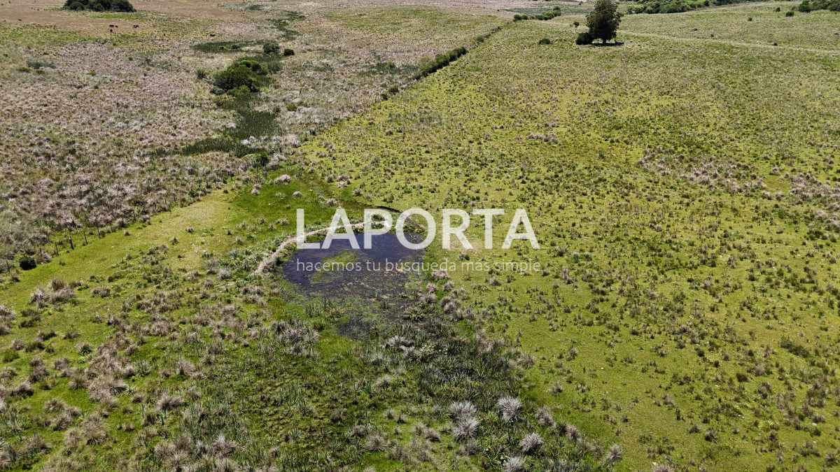 Campo Ref.543/Campo-en-Venta-en-Garzón-Maldonado-Punta-del-Este - Campo en Venta en Garzón Maldonado Punta del Este