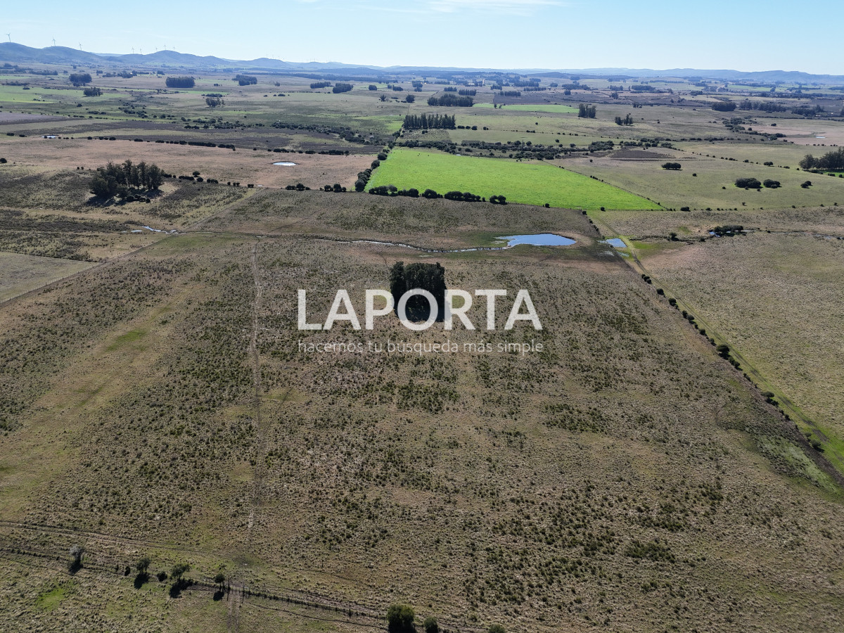 Campo Ref.1107/Campo-agrícola-ganadero-en-venta-en-Maldonado - Campo agrícola ganadero en venta en Maldonado