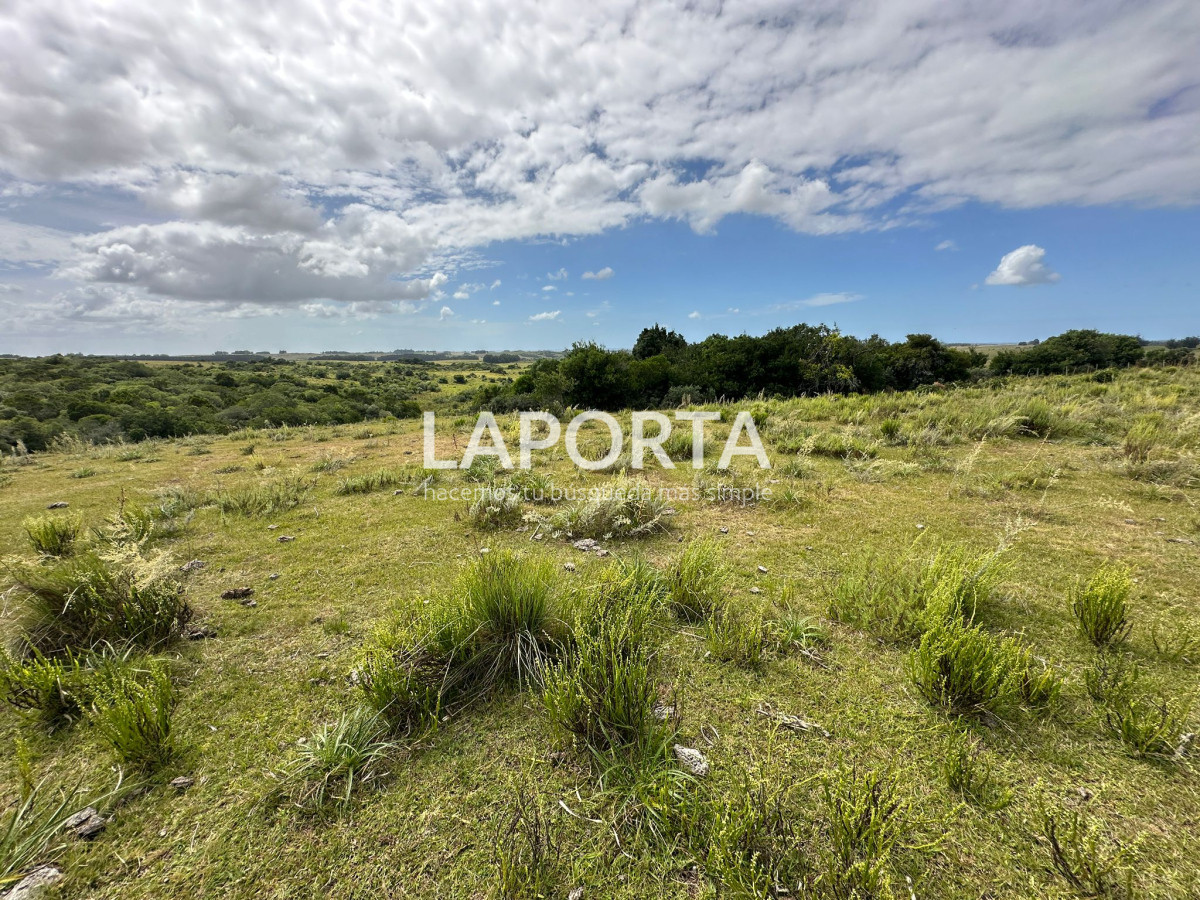 Campo Ref.647/Campo-ganadero-en-Rocha:-¡Inversión-exclusiva-cerca-de-Pueblo-Garzón! - Campo ganadero en Rocha: ¡Inversión exclusiva cerca de Pueblo Garzón!
