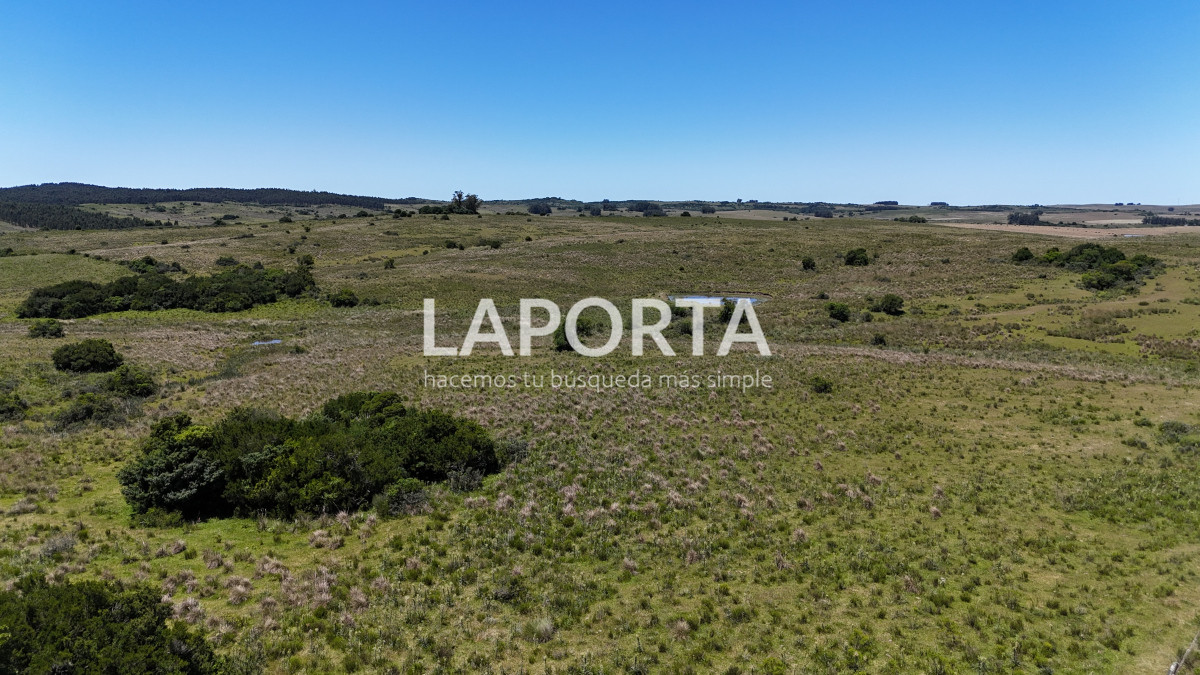 Campo Ref.543/Campo-en-Venta-en-Garzón-Maldonado-Punta-del-Este - Campo en Venta en Garzón Maldonado Punta del Este