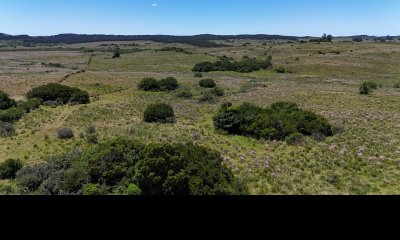 Campo en Venta en Garzón Maldonado Punta del Este