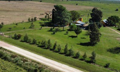 Campo Ganadero Agrícola en venta en Uruguay