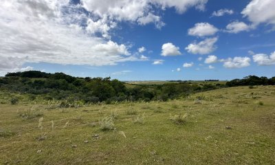 Campo ganadero en Rocha: ¡Inversión exclusiva cerca de Pueblo Garzón!