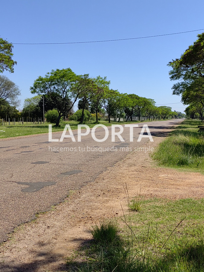 Local Comercial ID.438/Salón-de-fiestas-y-eventos--Nueva-Hespérides - Salón de fiestas y eventos - Nueva Hespérides