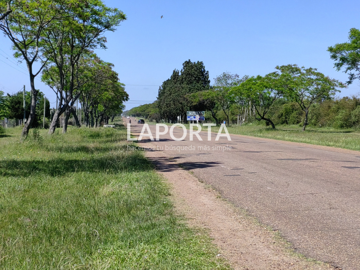 Local Comercial ID.438/Salón-de-fiestas-y-eventos--Nueva-Hespérides - Salón de fiestas y eventos - Nueva Hespérides