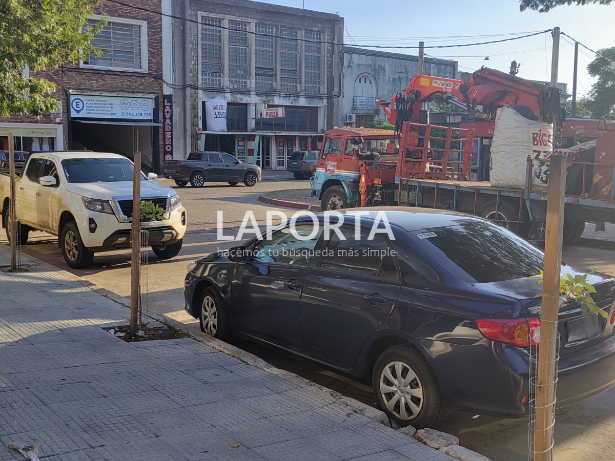 Local Comercial ID.1198/Locales-comerciales-en-Edificio-Plaza- - Locales comerciales en Edificio Plaza 