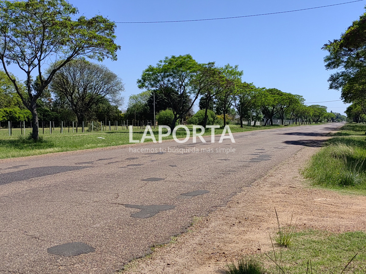 Local Comercial ID.438/Salón-de-fiestas-y-eventos--Nueva-Hespérides - Salón de fiestas y eventos - Nueva Hespérides