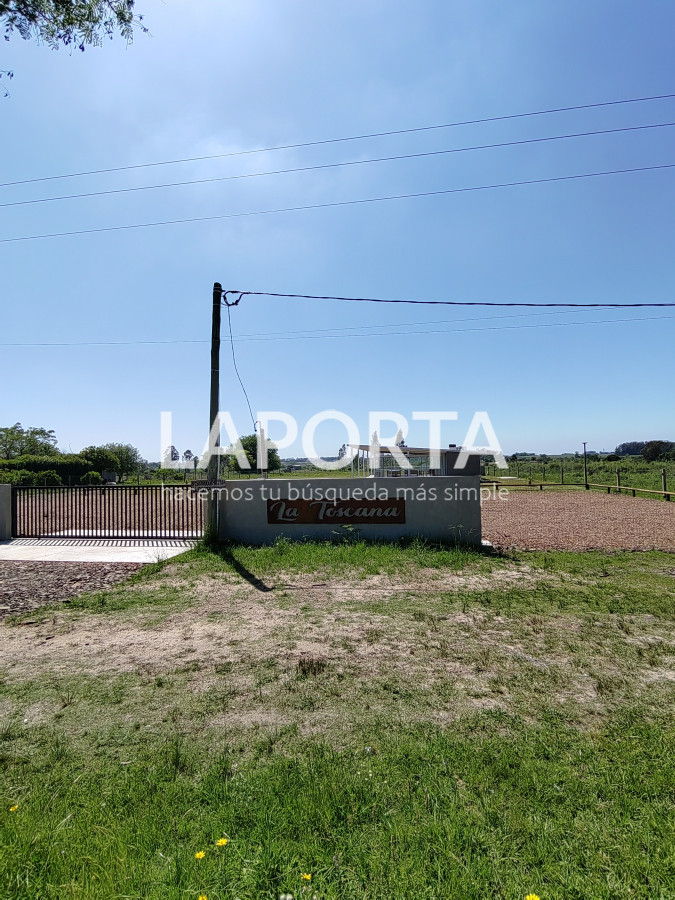 Local Comercial ID.438/Salón-de-fiestas-y-eventos--Nueva-Hespérides - Salón de fiestas y eventos - Nueva Hespérides