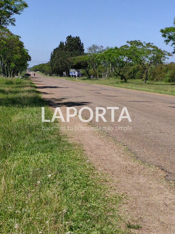 Local Comercial ID.438/Salón-de-fiestas-y-eventos--Nueva-Hespérides - Salón de fiestas y eventos - Nueva Hespérides