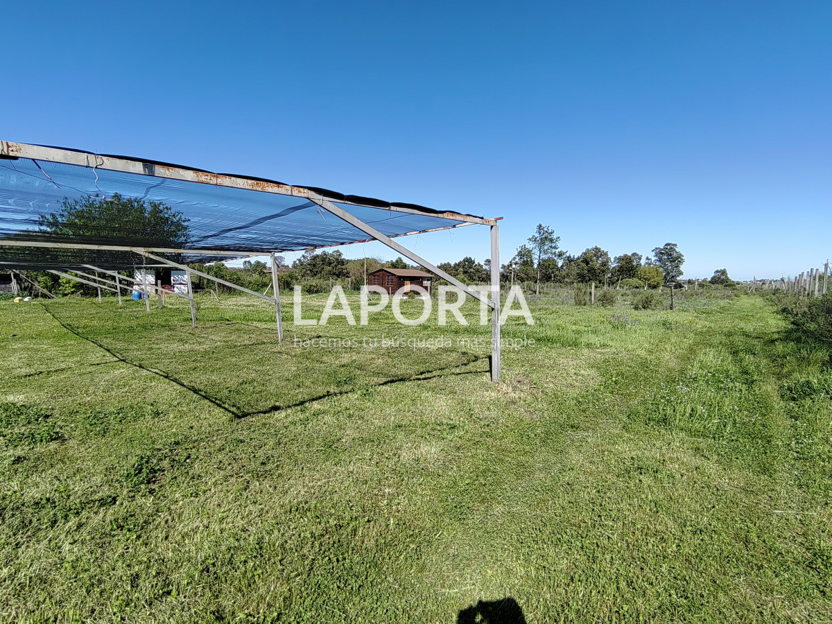 Local Comercial ID.1323/Salón-de-fiestas-y-eventos-con-amplio-terreno-en-Salto - Salón de fiestas y eventos con amplio terreno en Salto