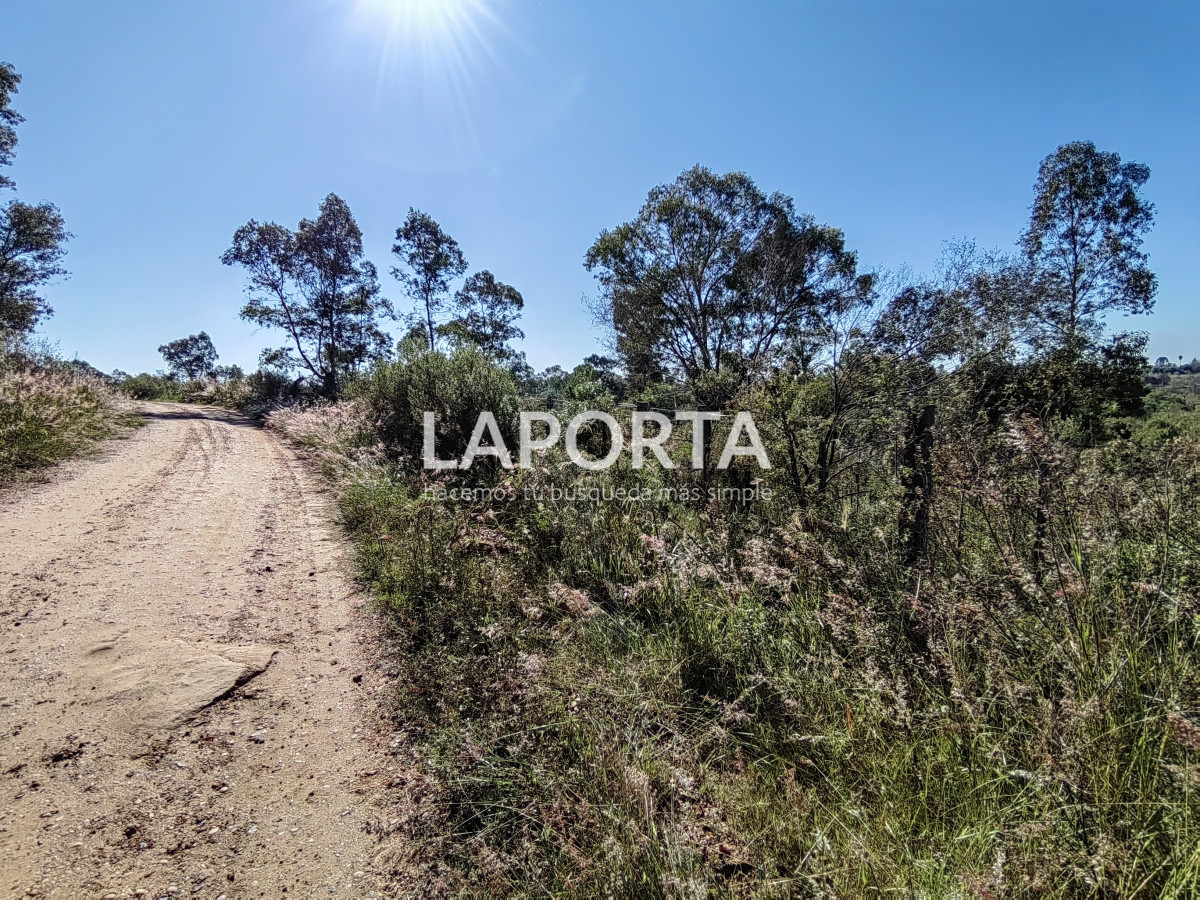 Terreno ID.884/Terreno-en-venta-en-Arenitas-Blancas,-Salto - Terreno en venta en Arenitas Blancas, Salto