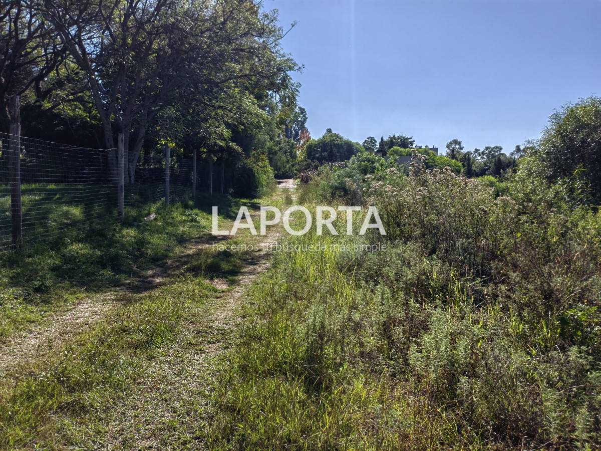 Terreno ID.886/Terreno-en-venta-en-Arenitas-Blancas,-Salto - Terreno en venta en Arenitas Blancas, Salto