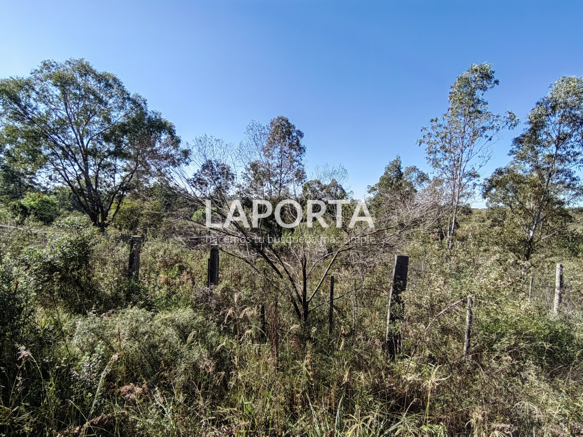 Terreno ID.884/Terreno-en-venta-en-Arenitas-Blancas,-Salto - Terreno en venta en Arenitas Blancas, Salto