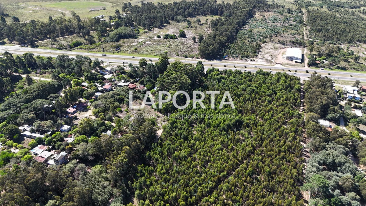 Terreno ID.684/Terreno-Para-Fraccionamiento-en-Venta-Frente-al-Mar - Terreno Para Fraccionamiento en Venta Frente al Mar