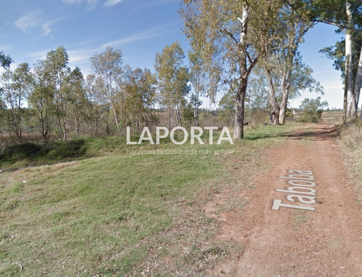 Terreno ID.621/Terreno-en-Arenitas-Blancas,-449-m2-de-superficie - Terreno en Arenitas Blancas, 449 m2 de superficie