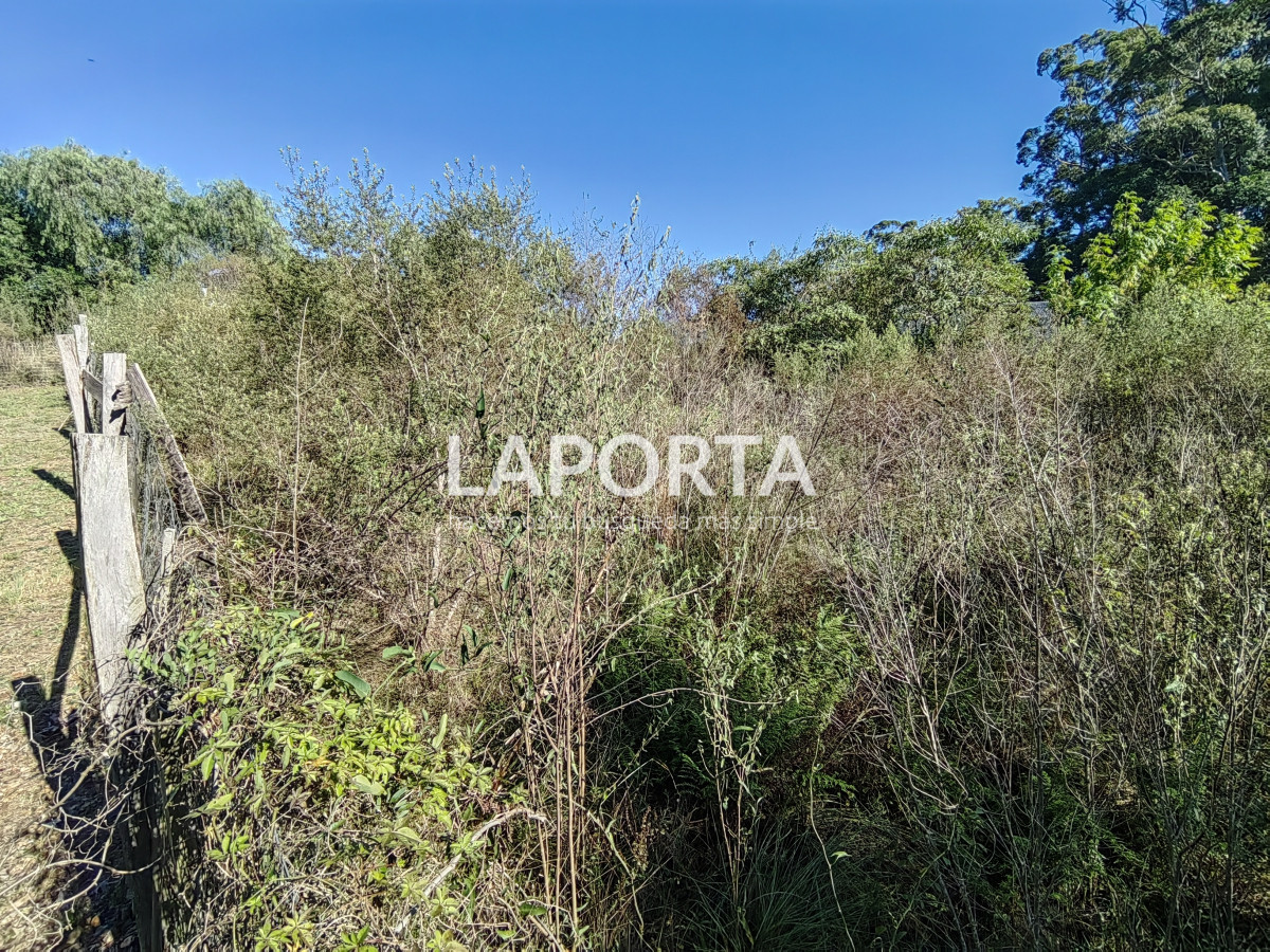 Terreno ID.883/Terreno-en-venta-en-Arenitas-Blancas - Terreno en venta en Arenitas Blancas