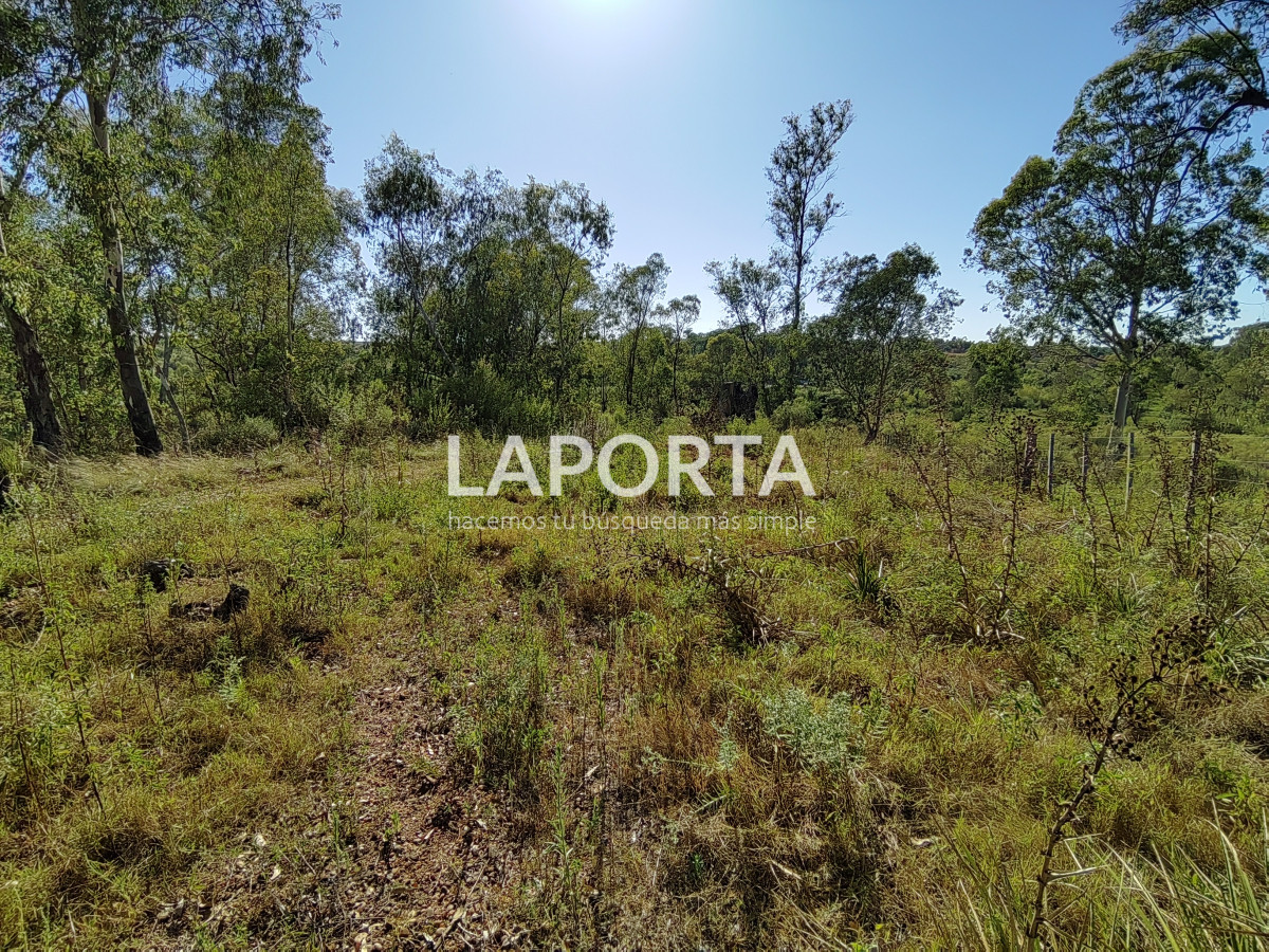 Terreno ID.621/Terreno-en-Arenitas-Blancas,-449-m2-de-superficie - Terreno en Arenitas Blancas, 449 m2 de superficie