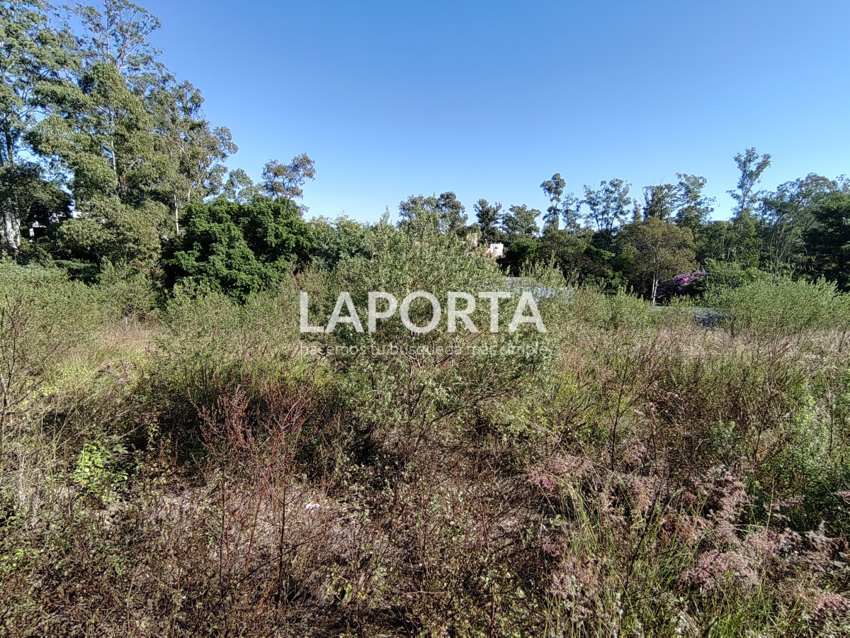 Terreno ID.892/Terreno-en-venta-en-Arenitas-Blancas,-Salto - Terreno en venta en Arenitas Blancas, Salto