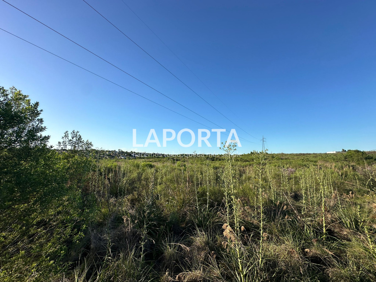 Terreno ID.418/Terreno-Estratégico-para-Emprendimientos-Logísticos-y-de-Distribución - Terreno Estratégico para Emprendimientos Logísticos y de Distribución