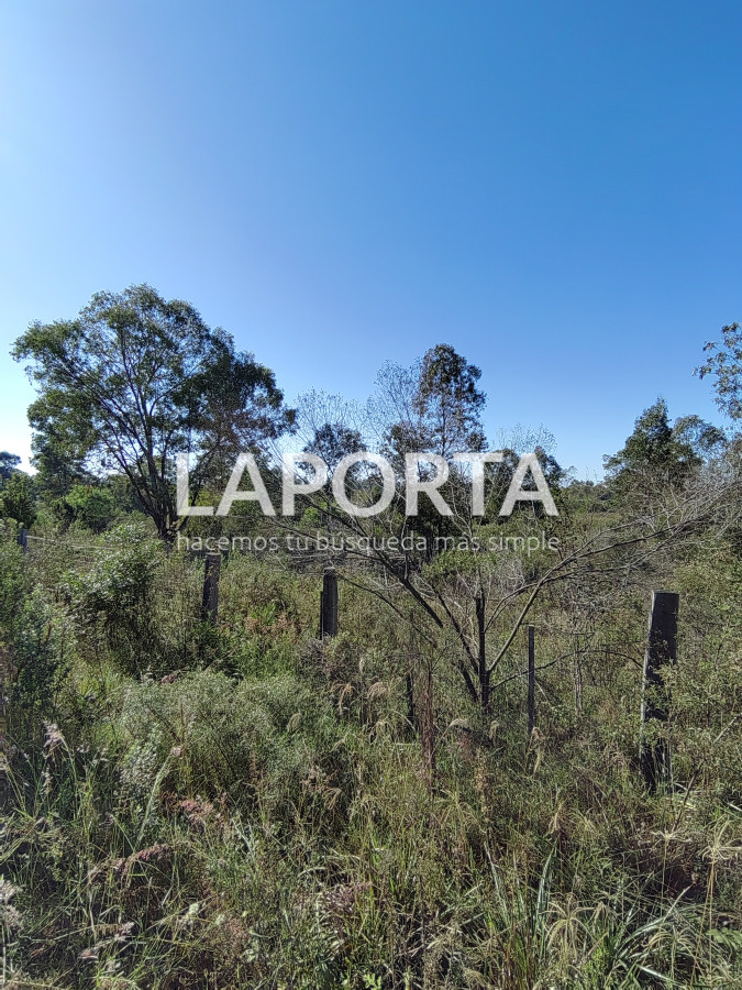 Terreno ID.884/Terreno-en-venta-en-Arenitas-Blancas,-Salto - Terreno en venta en Arenitas Blancas, Salto