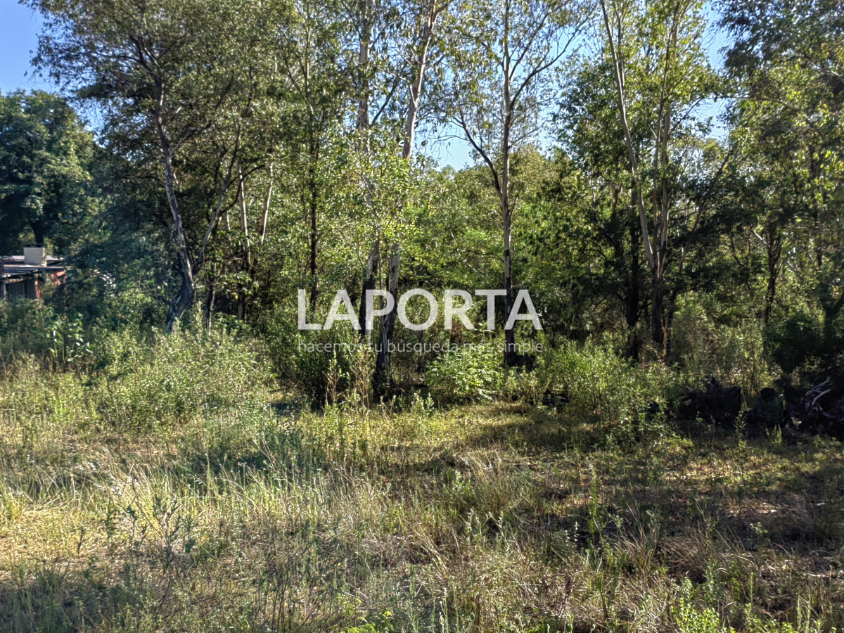 Terreno ID.621/Terreno-en-Arenitas-Blancas,-449-m2-de-superficie - Terreno en Arenitas Blancas, 449 m2 de superficie